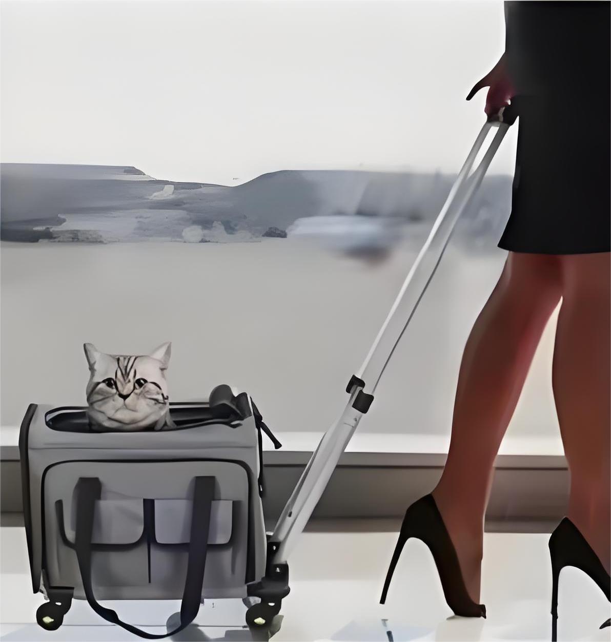 Airline Approved Cat Dog Carrier with Wheels Expandable Rolling Pet Carrier 